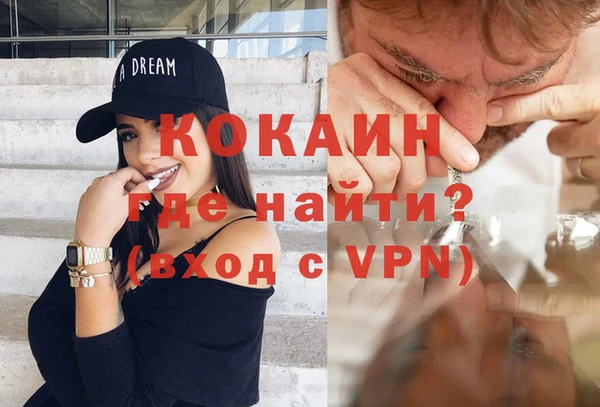 стаф Арсеньев